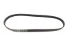 Поликлиновый ремень BMW:E36,E34,E39,E38/Ford:Focus,Kuga/Hyundai:i30 Gates 5PK890 (фото 4)