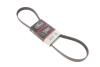 Ремень генератора Citroen Berlingo/Peugeot 306/405/508/Partner I 1.8/2.0DH 10-18 Gates 6PK1080EST (фото 1)