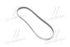 Поликлиновой ремень VW TOURAN 03-10, SKODA ROOMSTER 06-15, BMW 6 E63-64 04-11 6PK1088