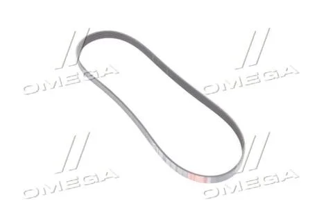 Поликлиновой ремень VW TOURAN 03-10, SKODA ROOMSTER 06-15, BMW 6 E63-64 04-11 Gates 6PK1088