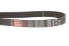 Поліклиновий ремінь BMW 1 (E81), 1 (E82), 1 (E87), 1 (E88), CITROEN EVASION, XSARA, ZX, FIAT ULYSSE, LANCIA ZETA, OPEL ASTRA H, ASTRA H CLASSIC, ASTRA H GTC, ZAFIRA B 1.7D-6.75 07.91- Gates 6PK1605 (фото 2)