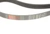 Ремень генератора Trafic/Vivaro/Master/Movano 1.9DTI/dCi 01- ALT, PS, AC Gates 6PK1795 (фото 4)