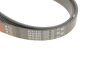 Ремень поликлиновый FORD FOCUS/FIESTA 1998-2005 (1.4/1.6 DOHC) Gates 6PK1915 (фото 4)