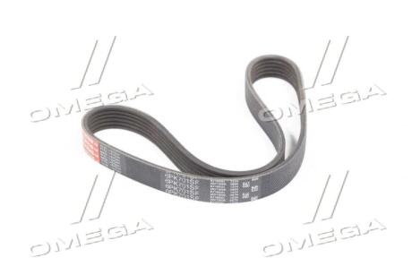 Ремінь генератора SEAT IBIZA IV, IBIZA IV SC, IBIZA IV ST, IBIZA V, MII, TOLEDO IV, SKODA CITIGO Gates 6PK701SF