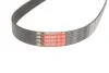 Ремень генератора Gates 6PK905 (фото 3)