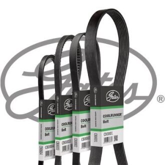 (8529-10010) Ремінь холодильної установки COOLRUNNER Gates CB0010