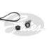 K016PK1818 (7884-20114)  Комплект ременів GATES MICRO-V KIT K016PK1818