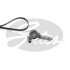 K026PK1210 (7884-21414)  Комплект ременів GATES MICRO V KIT K026PK1210