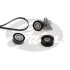 (7884-22832) Комплект ременів MICRO V KIT Gates K026PK1503 (фото 1)