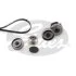 K036PK1623 (7884-21661)  Комплект ременів GATES MICRO V KIT K036PK1623