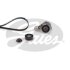 (7884-21786) Комплект ременів MICRO V KIT Gates K046DPK1825 (фото 1)