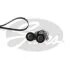 (7884-22048) Комплект ременів MICRO V KIT Gates K066DPK1825 (фото 1)