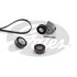 K096PK1725  (7884-22278)  Комплект ременів GATES ICRO V KIT K096PK1725