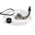 K096PK2403 (7884-22686)  Комплект ременів GATES MICRO V KIT K096PK2403