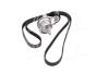 (7884-23071) Комплект ременів MICRO V KIT Gates K276PK1555 (фото 3)