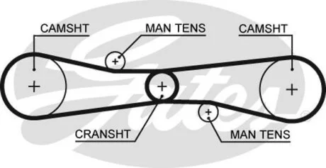 (8595-10439) Ремінь ГРМ Gates T275