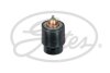 (7412-10736) Термостат THERMOSTAT Gates TH598105 (фото 1)