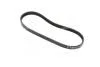 Ремень ГПК Авео/Cruze (4PK643) GM 25195582 (фото 3)