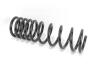 Пружина задня Ford Focus 10- (398*13,5*114) GOODREM RP1192 (фото 2)