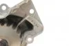Помпа воды Fiat Scudo/Ducato/Peugeot/Citroen/Hyundai 1.8-1.9D/TD 94-06 (20z)(B/B)(7 лоп)(d імп=71mm) GRAF PA911 (фото 6)