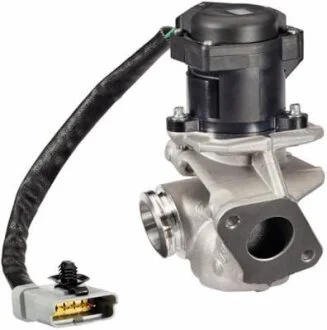 Клапан відпрацьованих газів HELLA 6NU 010 171-131