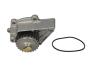 Насос водяной LAND ROVER FREELANDER 98-00 1.8 HEPU P045 (фото 2)