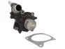 P230   HEPU - Насос охолоджуючої рідини P230