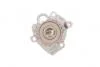 Помпа воды Skoda Fabia/VW Polo 1.9SDI 00- D1W038TT, PA1355A, 352316171210, 50005750, 538032510, VKPC81302, WPQ1210, 538032510 HEPU P563 (фото 3)