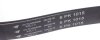 Ремень генератора Ford Escort 1.4/MB OM601/602 -96 (6PK1015) HUTCHINSON 1015 K 6 (фото 3)