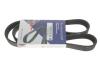 Ремень генератора VW Caddy/Golf/Passat/T4 1.9 D/TD 96- (6PK1042) HUTCHINSON 1042K6 (фото 4)