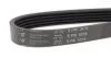 Ремінь (поліклиновий) HUTCHINSON 1076K5 (фото 2)