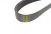 Поликлиновой ремень Poly V® (1105 K 6) HUTCHINSON 1105K6 (фото 4)