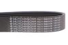 Ремень генератора Renault Megane 1.9dCi/2.0 03- (7PK1127) HUTCHINSON 1127K7 (фото 4)