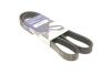 Ремень 6PK1190 генератора C5/C8/Jumpy/Expert/Scudo/307/807 EW10J4 -AC HUTCHINSON 1190 K 6 (фото 5)