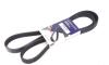 Ремень генератора Fiat Doblo1.3-1.6 D 10-/Opel Astra F/Corsa B/Vectra B 1.4-1.8/ 94-03 (6PK1530) HUTCHINSON 1530K6 (фото 1)