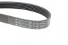 Ремень генератора VW Golf/BMW/Ford/Opel (6PK1540) HUTCHINSON 1540 K 6 (фото 3)