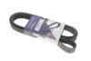 Ремінь генератора Renault Megane II 2.0 dCi 05-09 (7PK1705) HUTCHINSON 1705K7 (фото 1)