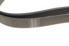 Ремень генератора VW LT 2.5TDI -06/T4 2.5 91-03/Ford Connect 1.8 TDCi 02-07 (6PK1718) HUTCHINSON 1718K6 (фото 3)