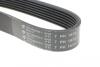 Ремінь генератора Land Rover Discovery/Range Rover 2.5 Td5/3.9-4.6 93-04 HUTCHINSON 1872K7 (фото 4)