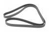 Ремень генератора Audi/BMW/Chevrolet/MB/Opel (6PK1875) HUTCHINSON 1875K6 (фото 5)