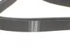 Ремінь генератора MB W124/126/201 M103/104 85-95 HUTCHINSON 2257K6 (фото 4)