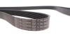 Ремінь генератора Ford Transit 2.4/3.2 TDCI 06-14 HUTCHINSON 2843K7 (фото 4)