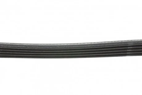 Ремінь генератора (поліклиновий) HUTCHINSON 694 SK 5