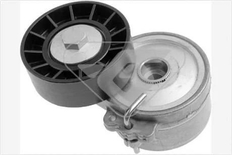 Натяжний ролік+мех HUTCHINSON T0306
