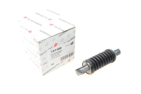 Ролик натяжний ременя генератора HUTCHINSON TS1100