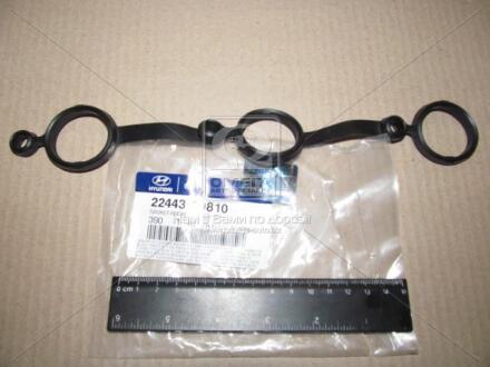 Прокладка клапанної кришки (B) Terracan 3.5 (22443-39810) Mobis Hyundai/Kia/Mobis 2244339810