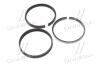 Кольца поршневые std COUP Hyundai/Kia/Mobis 230403E102 (фото 3)