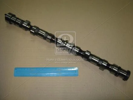 Розподільний вал Hyundai Sonata NF 04-09, Hyundai Tucson 04-09, Kia Ceed 07-12 Hyundai/Kia/Mobis 24100-27402