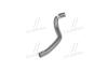Патрубок системи охолодження двигуна Hyundai/Kia/Mobis 254121C200 (фото 2)