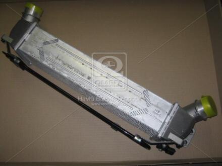 Радіатор інтеркулера в зборі 2.5CRDI 16V HYUNDAI H-1 TQ 07-21 Hyundai/Kia/Mobis 28190-4A481
